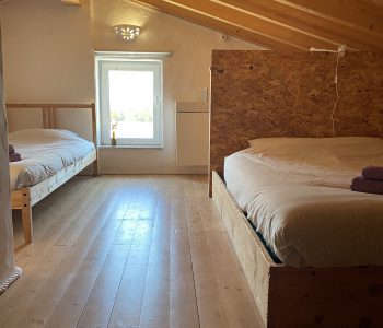 room 6 room 6